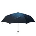 Whales family Folding Umbrellas View3