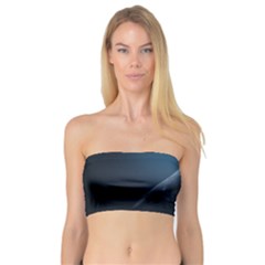 Whales Family Bandeau Top by goljakoff