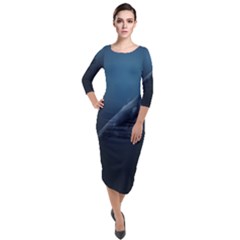 Whales Family Quarter Sleeve Midi Velour Bodycon Dress by goljakoff