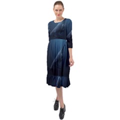 Whales Family Ruffle End Midi Chiffon Dress by goljakoff