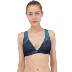 Whales Family Classic Banded Bikini Top by goljakoff