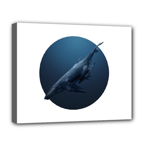 Whales Deluxe Canvas 20  X 16  (stretched) by goljakoff