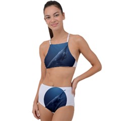 Whales High Waist Tankini Set by goljakoff