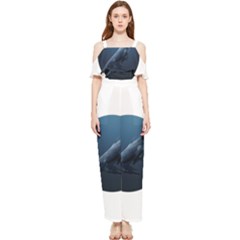 Whales Draped Sleeveless Chiffon Jumpsuit by goljakoff