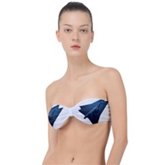 Blue Whales Classic Bandeau Bikini Top  by goljakoff