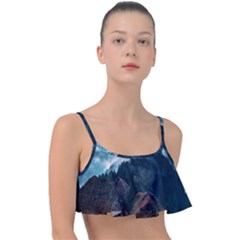 Dream Whale Frill Bikini Top by goljakoff