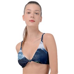 Blue Whales Dream Knot Up Bikini Top by goljakoff