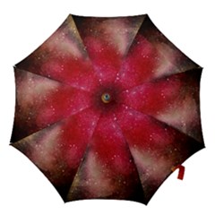 Red Galaxy Paint Hook Handle Umbrellas (small) by goljakoff