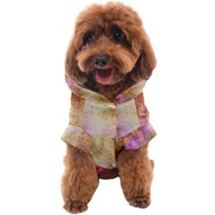 Golden Paint Dog Coat by goljakoff