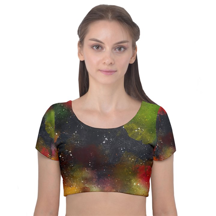 Color splashes Velvet Short Sleeve Crop Top 