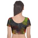 Color splashes Velvet Short Sleeve Crop Top  View2