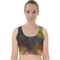 Color Splashes Velvet Racer Back Crop Top by goljakoff