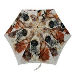 Dog Mini Folding Umbrellas by goljakoff