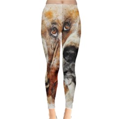 Dog Leggings  by goljakoff