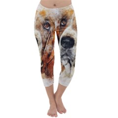 Dog Capri Winter Leggings  by goljakoff