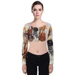 Dog Velvet Long Sleeve Crop Top by goljakoff