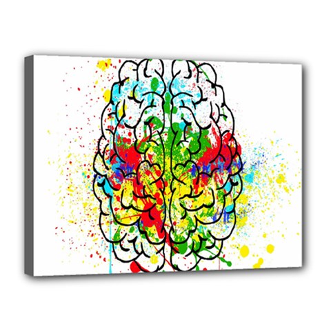 Brain Mind Psychology Idea Hearts Canvas 16  X 12  (stretched) by Amaryn4rt