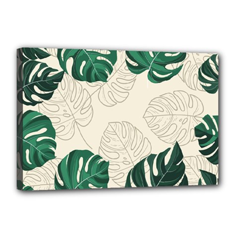 Green Monstera Leaf Illustrations Canvas 18  X 12  (stretched) by HermanTelo