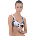 Natural Palm Plant Front Tie Bikini Top View1