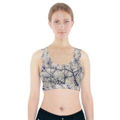 Black And White Botanical Motif Artwork 2 Sports Bra With Pocket by dflcprintsclothing