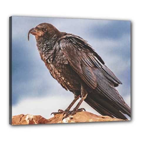 Black Crow Standing At Rock Canvas 24  X 20  (stretched)