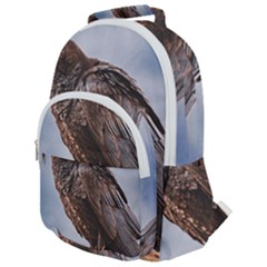 Black Crow Standing At Rock Rounded Multi Pocket Backpack by dflcprintsclothing