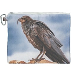 Black Crow Standing At Rock Canvas Cosmetic Bag (xxxl) by dflcprintsclothing