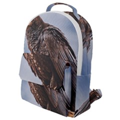 Black Crow Standing At Rock Flap Pocket Backpack (small) by dflcprintsclothing