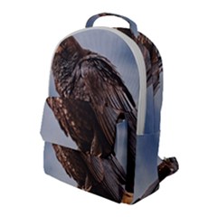 Black Crow Standing At Rock Flap Pocket Backpack (large) by dflcprintsclothing