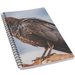 Black Crow Standing At Rock 5 5  X 8 5  Notebook by dflcprintsclothing