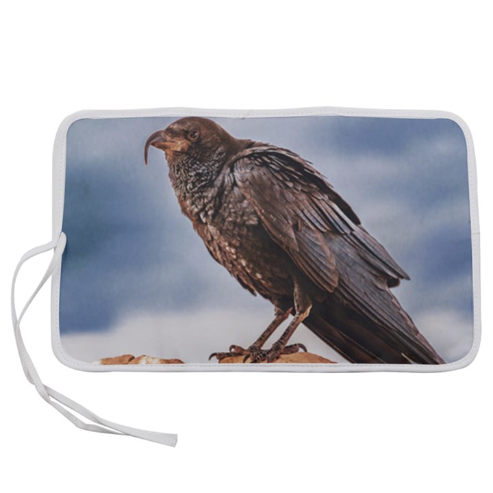 Black Crow Standing At Rock Pen Storage Case (S)