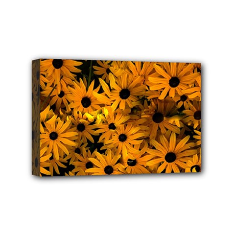 Rudbeckias  Mini Canvas 6  X 4  (stretched) by Sobalvarro