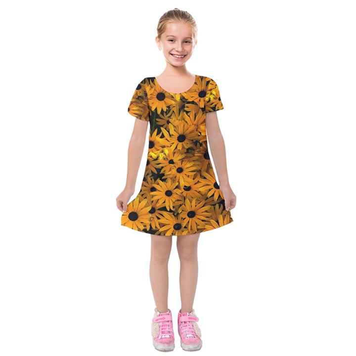 Rudbeckias  Kids  Short Sleeve Velvet Dress