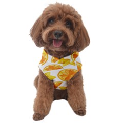 Oranges Love Dog Sweater