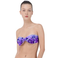 La Vie Est Belle No 2 Classic Bandeau Bikini Top  by sfbijiart