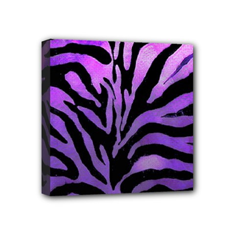 Z¨|brer Mini Canvas 4  X 4  (stretched) by sfbijiart