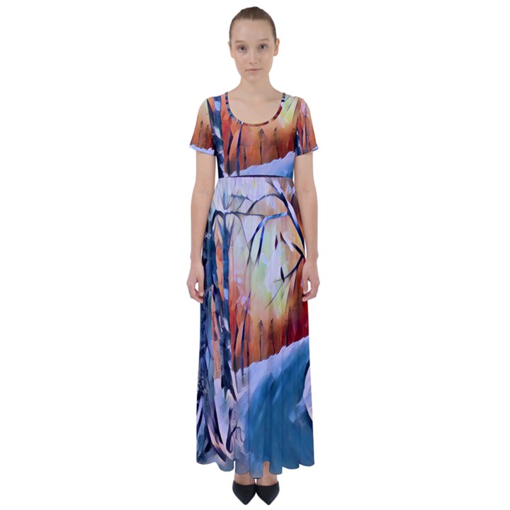 Paysage D hiver High Waist Short Sleeve Maxi Dress