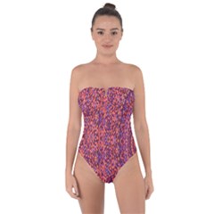 Piale Kolodo Tie Back One Piece Swimsuit by Sparkle