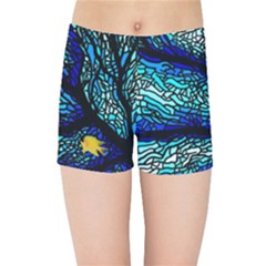 Sea-fans-diving-coral-stained-glass Kids  Sports Shorts by Sapixe