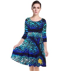 Sea-fans-diving-coral-stained-glass Quarter Sleeve Waist Band Dress