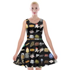 Glitch Glitchen Misc One Velvet Skater Dress by WetdryvacsLair