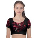 Love Deception Concept Artwork Velvet Short Sleeve Crop Top  View1