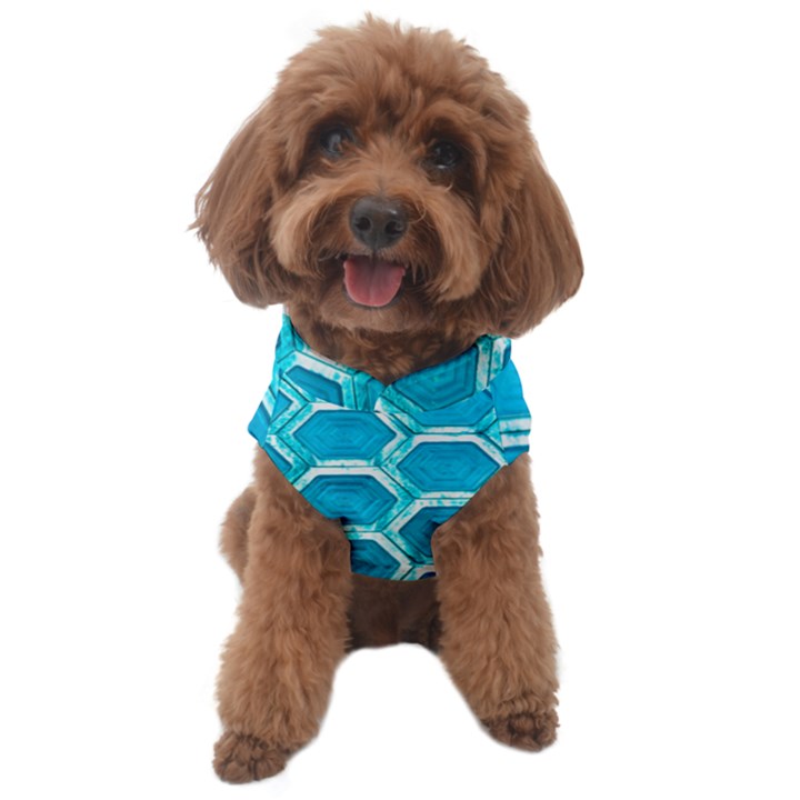 Hexagon Windows Dog Sweater