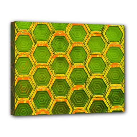 Hexagon Windows Canvas 14  X 11  (stretched) by essentialimage