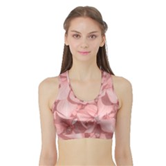 Coral Colored Hortensias Floral Photo Sports Bra With Border by dflcprintsclothing