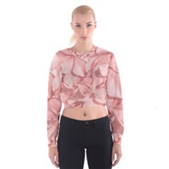 Coral Colored Hortensias Floral Photo Cropped Sweatshirt