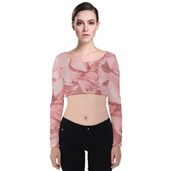 Coral Colored Hortensias Floral Photo Velvet Long Sleeve Crop Top by dflcprintsclothing