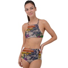 Possum - Mentally Sick Physically Thick High Waist Tankini Set