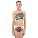 Possum - Mentally Sick Physically Thick Spliced Up Two Piece Swimsuit View1