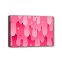 Rose slime  Mini Canvas 6  x 4  (Stretched) View1